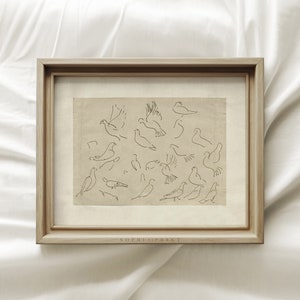 Various Bird Drawings, Bird Lineart, Vintage Landscape Sketch Art, Vintage Etching, Neutral Art Print, Sophia Print, Shipped Prints #298