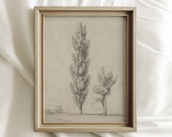 Vintage Neutral Tree Drawing, Beige Rustic Sketch Print, Antique Tree Etching, MAILED ART PRINTS #344