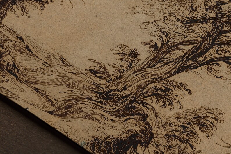 K&ouml;nnte beinhalten: Eine Nahaufnahme einer Feder- und Tintenzeichnung eines Baumes mit &Auml;sten und Bl&auml;ttern. Die Zeichnung ist auf hellbraunem Papier.