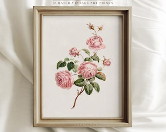 Quadro con fiori rosa, stampa artistica floreale, stampa artistica di boccioli, stampa artistica di rose, stampa artistica botanica, stampa artistica di rose rosa #734