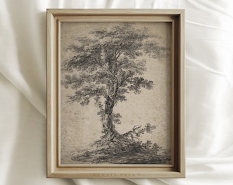 Moody Vintage Tree Drawing Print, Country Farmhouse Sketch, Antique Wall Art, Housewarming Gift #347