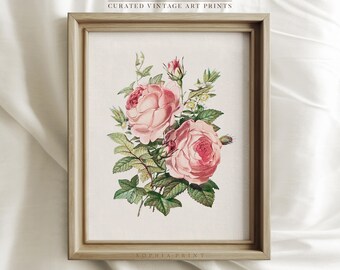 Stampa artistica con fiori rosa, stampa artistica con rose, stampa di dipinto di fiori in fiore, stampa artistica di fiori, stampa artistica di dipinto di rosa rosa n. 736