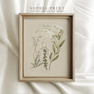 Vintage French Wire Hen Egg Basket | Rustic French Farmhouse Egg ...