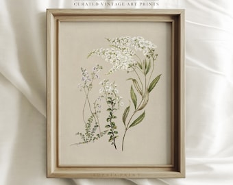 Vintage Flower Art Print, Farmhouse Wall Decor, Botanical French Country Wall Decor, Antique Botanical Print #385