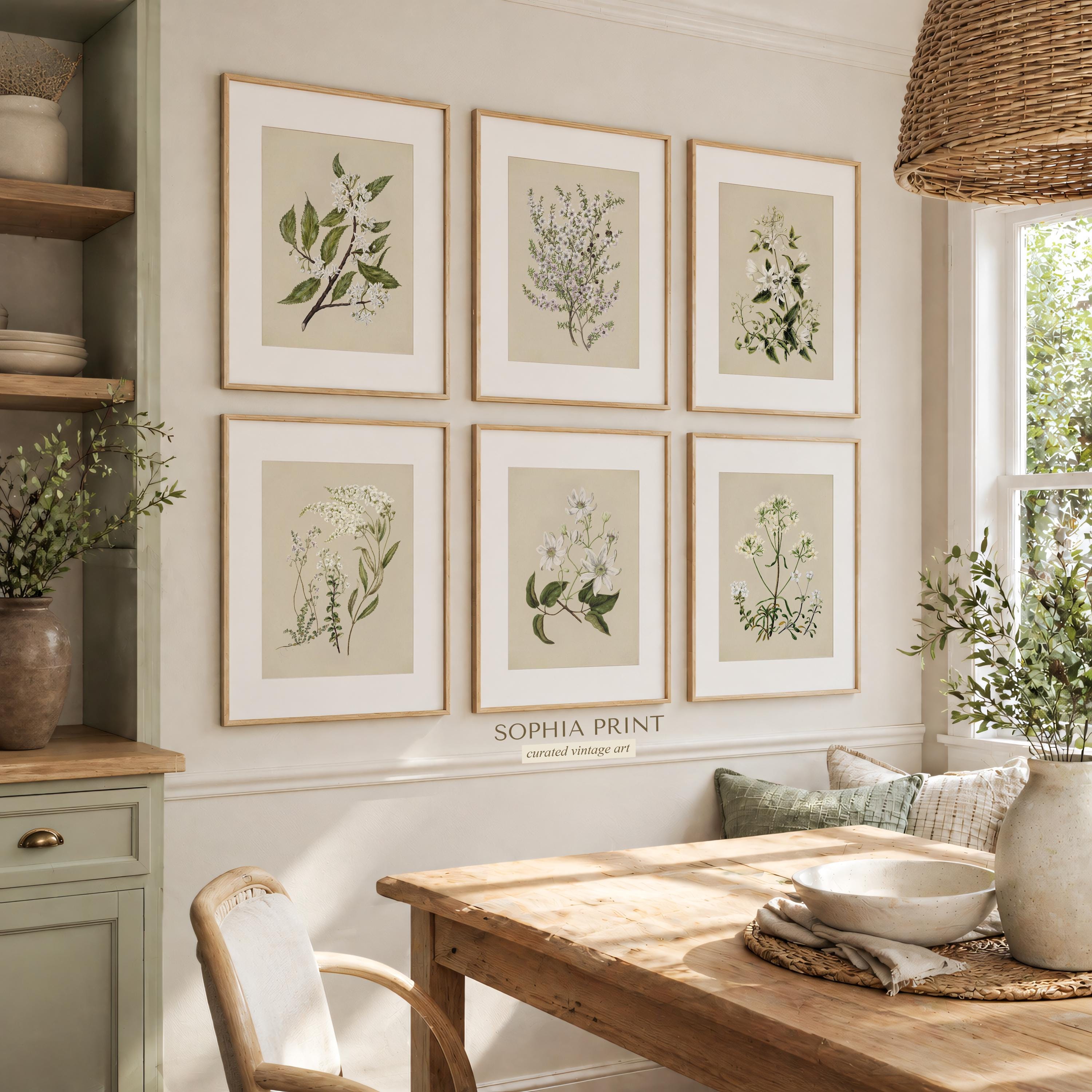 Vintage Botanical Gallery Wall Set of 6, White Flower Prints, Neutral ...