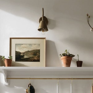 Pu&ograve; includere: Uno scaffale bianco con una ringhiera e ganci in ottone &egrave; appeso a una parete bianca. Un dipinto di paesaggio incorniciato, un'applique a muro in ottone e tre piante in vaso sono sullo scaffale. Un vaso con un ramo di fiori bianchi &egrave; sul muro a destra.