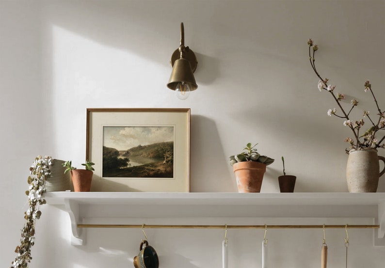 Pu&ograve; includere: Uno scaffale bianco con una ringhiera e ganci in ottone &egrave; appeso a una parete bianca. Un dipinto di paesaggio incorniciato, un'applique a muro in ottone e tre piante in vaso sono sullo scaffale. Un vaso con un ramo di fiori bianchi &egrave; sul muro a destra.