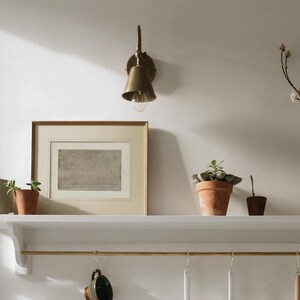 May include: A white shelf with a brass wall sconce, a framed print, and three potted plants. The shelf has a brass rod underneath it with hooks for hanging items.