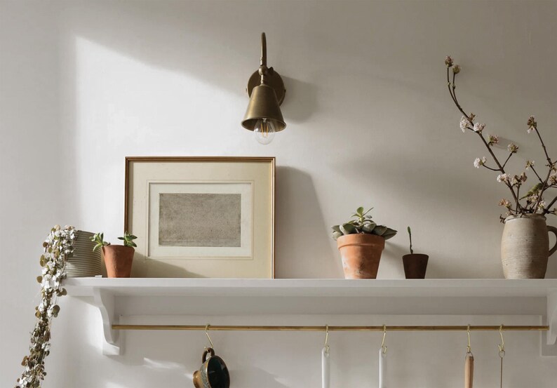 May include: A white shelf with a brass wall sconce, a framed print, and three potted plants. The shelf has a brass rod underneath it with hooks for hanging items.