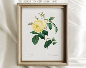 Grand Yellow Rose schilderij kunst, gele bloem Art Print, Floral Art Print, Rose schilderij Art Print, bloesem Art Print #771