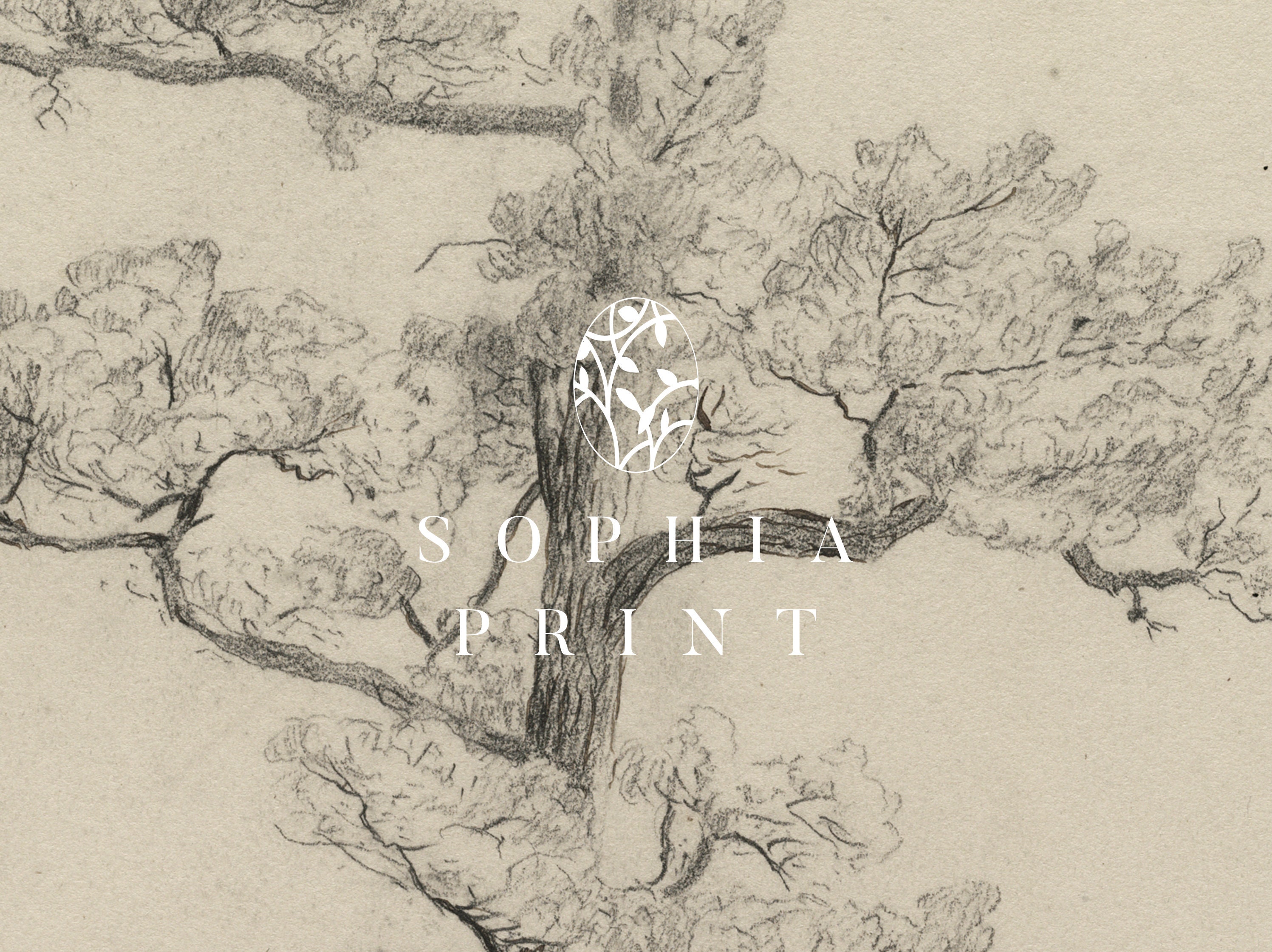 Vintage PRINTED Art, Rustic Tree Sketch, Botanical Drawing, Neutral ...