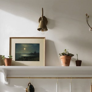 May include: A white shelf with a brass rail and hooks hangs on a white wall. A framed picture of a moonlit seascape sits on the shelf, along with a small potted plant and a brass wall sconce with a light bulb.