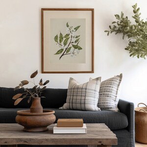 May include: A framed botanical print of a flowering branch with green leaves and white blossoms. The print is in a brown wooden frame, hanging above a dark gray sofa with plaid pillows. A wooden coffee table holds a vase and books.