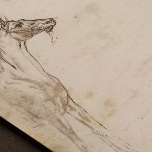 Peut inclure: Un dessin au trait noir et blanc de la t&ecirc;te et du cou d'un cheval. Le cheval porte une bride et a la bouche ouverte.