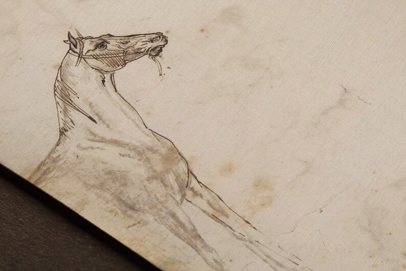 Peut inclure: Un dessin au trait noir et blanc de la t&ecirc;te et du cou d'un cheval. Le cheval porte une bride et a la bouche ouverte.