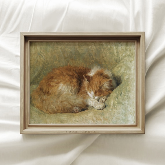 眠っているオレンジ色の猫、かわいいオレンジ色の猫、緑のソファの上の