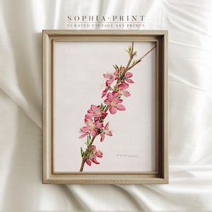 Sakura schilderij print, roze kersenbloesem schilderij kunst print, bloemen kunst print, roze sakura kunst print, bloemen kunst print #785