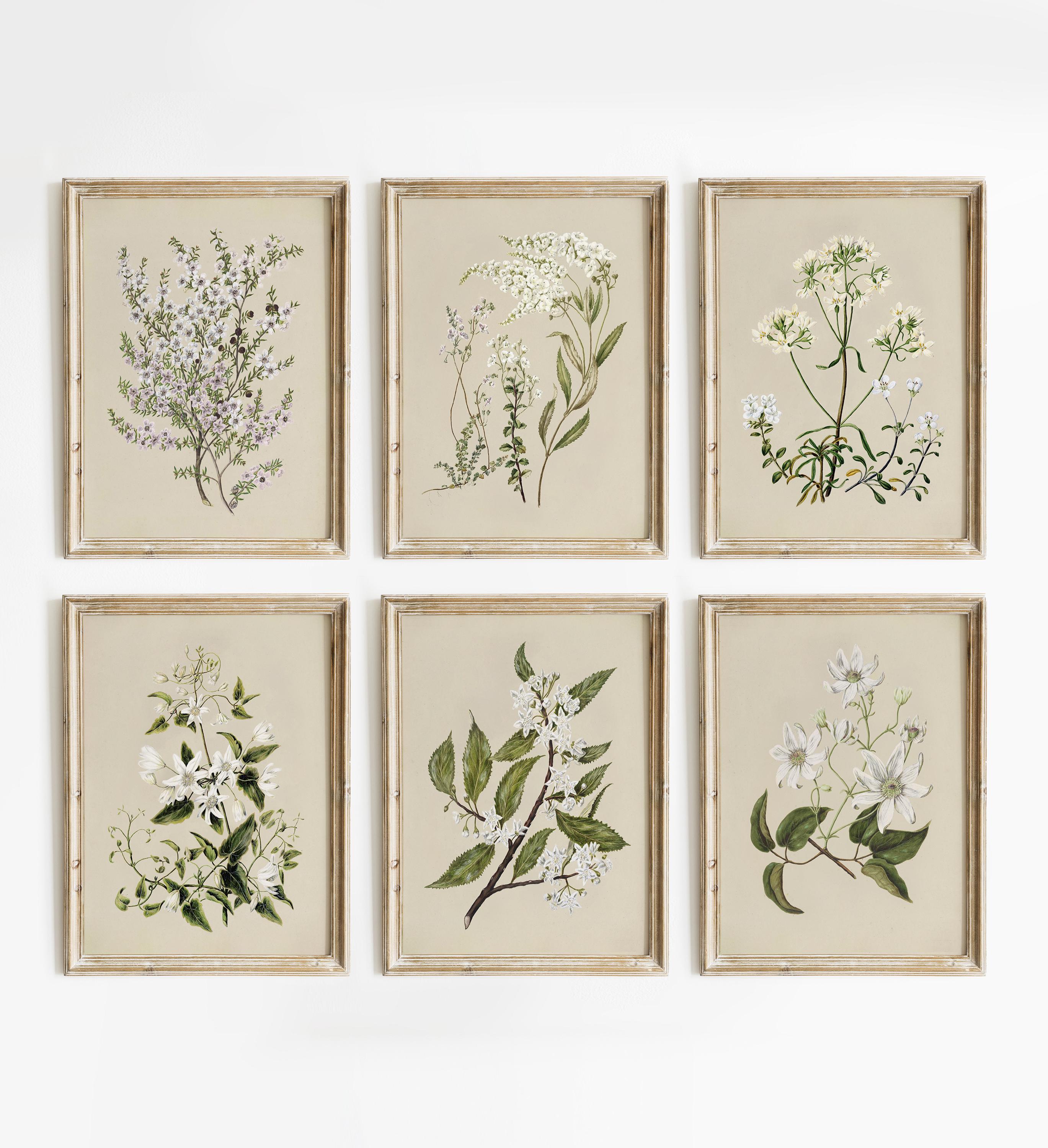 Botanical Set of 6, Flower Art Print, Floral Painting Art Print, Blossom Art Print, Botanical Painting Print, Flowers Set Print #959