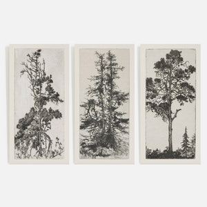 Trees Etching Set of 3, Vintage Drawing, Antique Sketch, Gallery Wall Art, Trees Drawings Set, Rustic Sketch, Botanical Art 141 image 3