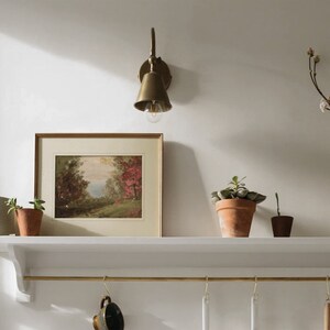 May include: A white shelf with a brass rail and hooks hangs on a white wall. A framed landscape painting, a brass wall sconce, and three potted plants are on the shelf. A vase with white flowers is on the wall to the right of the shelf.