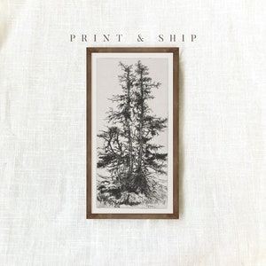 May include: A black and white line drawing of three trees in a wooden frame. The print is titled "PRINT & SHIP" and "ONLY PRINT / NO FRAMED".