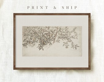 Vintage PRINTED Art, Apple Tree Sketch, Botanical Drawing, Rustic Country Art Print, Antique Wall Art, Modern Farmhouse Decor #12