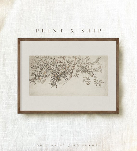 Vintage PRINTED Art, Apple Tree Sketch, Botanical Drawing, Rustic Country Art Print, Antique Wall Art, Modern Farmhouse Decor #12