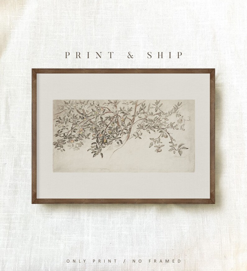 Op de afbeelding: Een ingelijste print van een botanische illustratie met een tak van een boom met delicate bladeren en kleine witte bloemen. De print is op een beige achtergrond en heeft een bruine lijst.