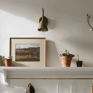 May include: A wall-mounted brass light fixture with a bell-shaped shade is mounted above a white shelf. A framed landscape painting, potted plants, and a vase of flowers decorate the shelf. The scene evokes a cozy, rustic aesthetic.