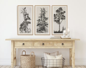 Bomen etsen set van 3, vintage tekening, antieke schets, galerie kunst aan de muur, bomen tekeningen set, rustieke schets, botanische kunst #141