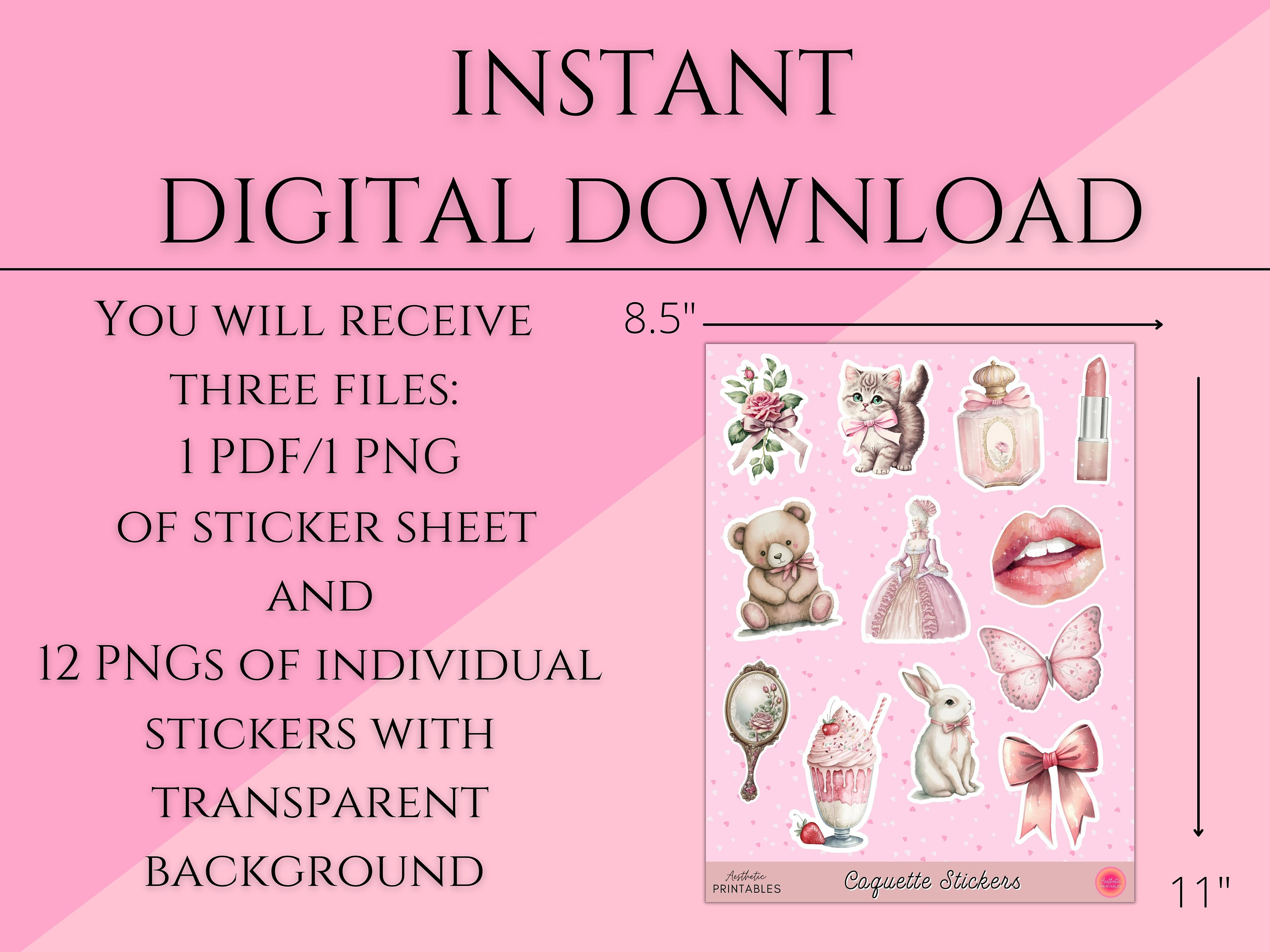 Coquette Sticker Bundle Aesthetic Stickers Printable Stickers