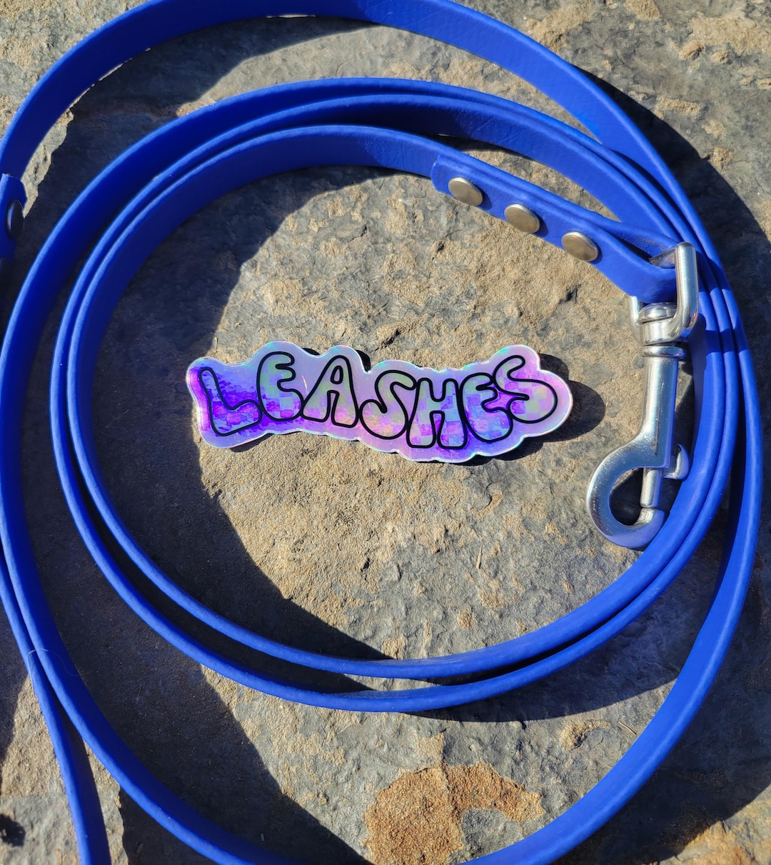 Holographic Checkered Retro Vinyl Leashes Sticker | Dog Training ...