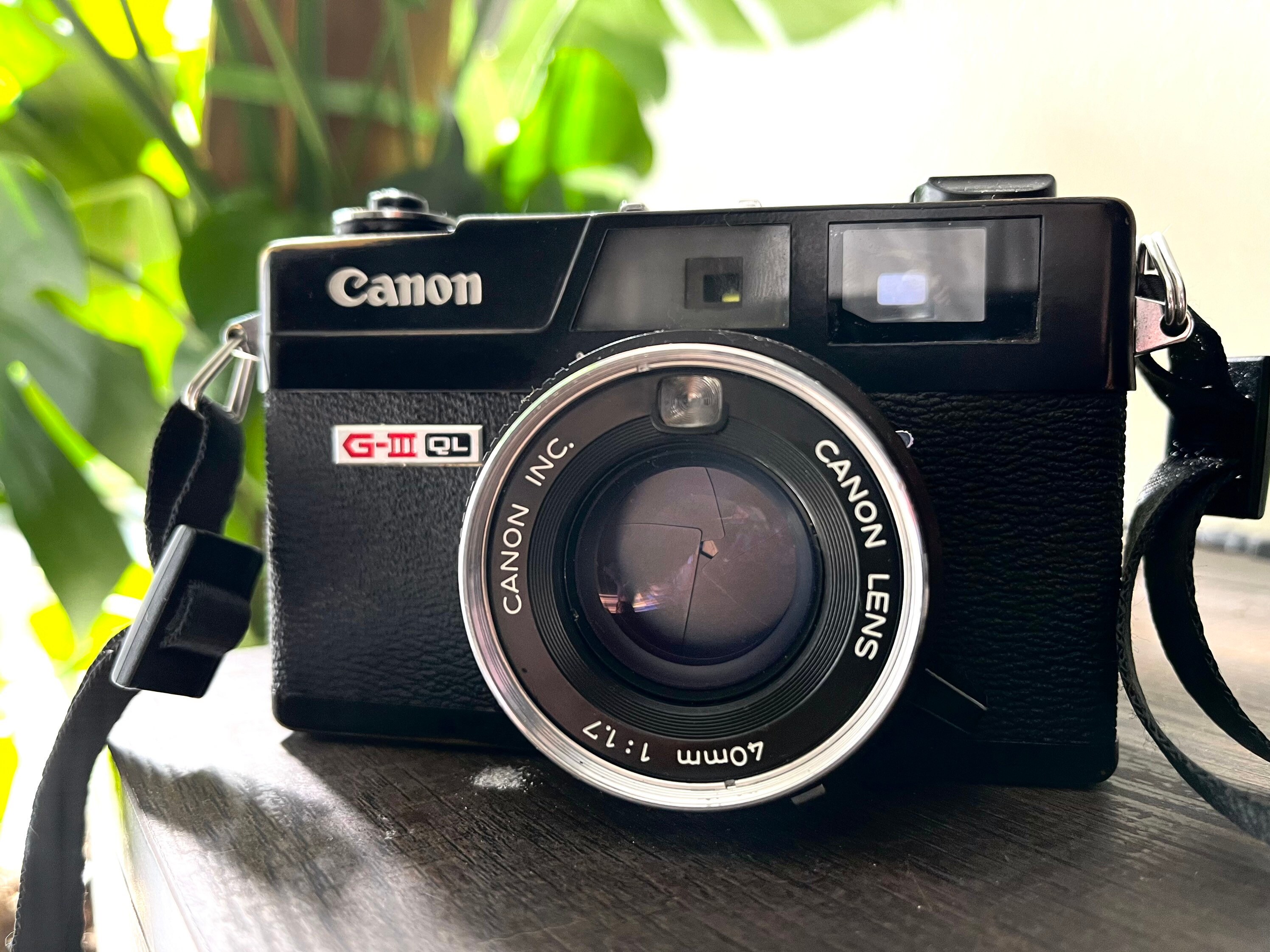 Canonet QL19 G-III QL CANON LENS 45mm/1.9 キヤノン キャノネット 革