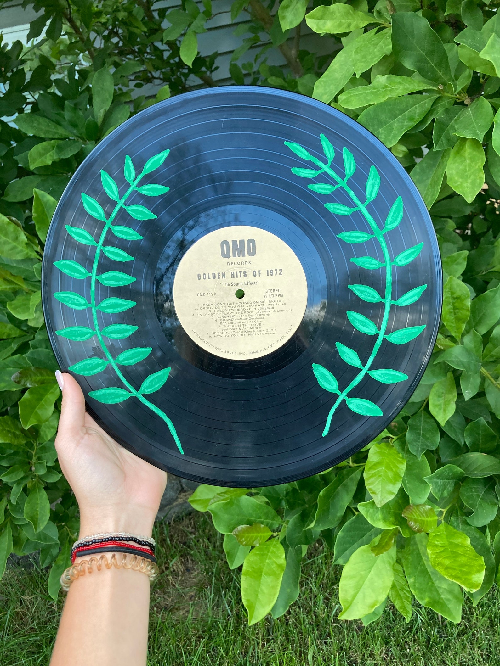 Botanical Plant Design Hand Painted Vinyl Record or Clear Cd4.75 ...