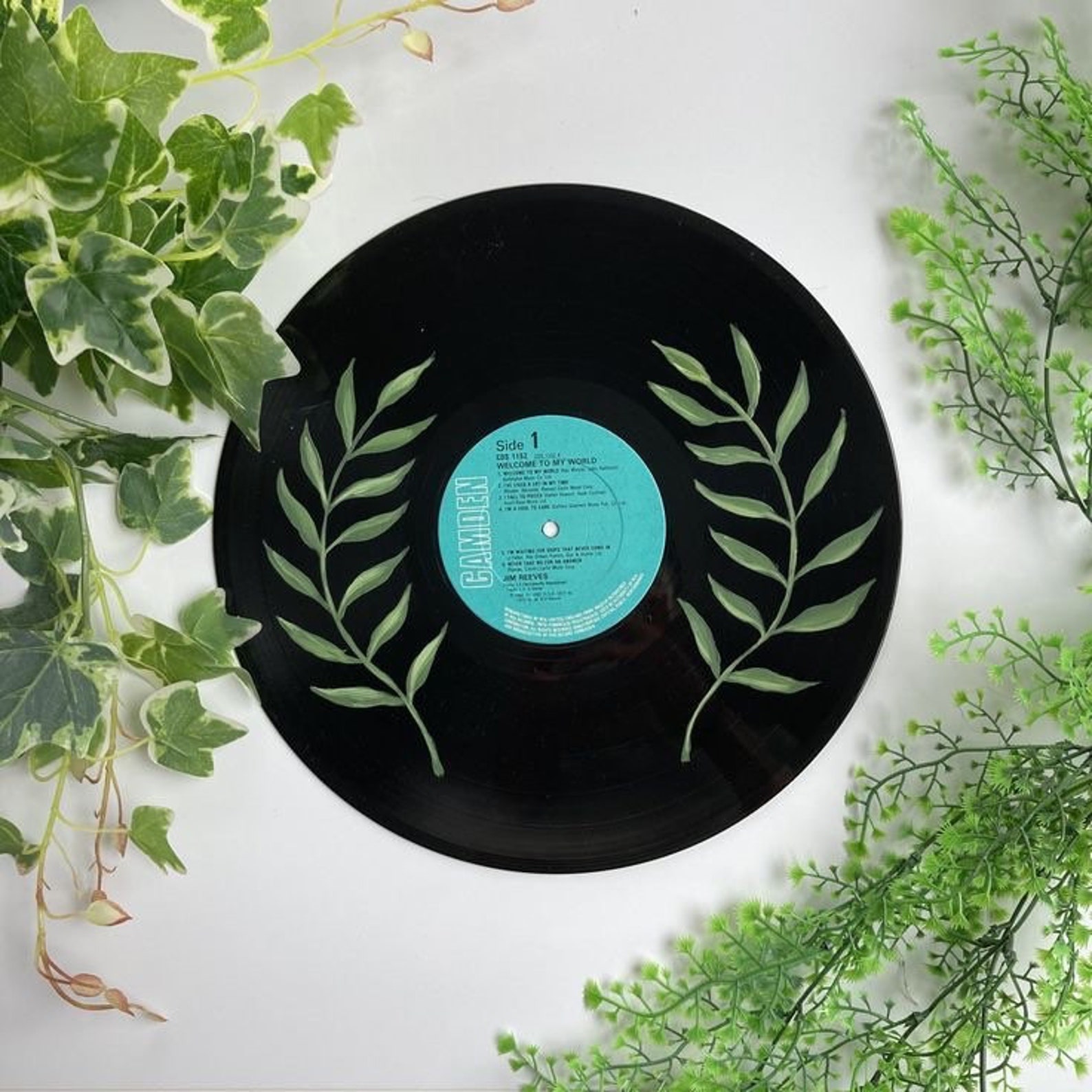 Botanical Plant Design Hand Painted Vinyl Record or Clear Cd4.75 ...