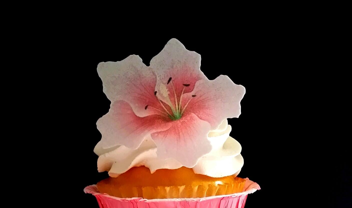 Edible Hibiscus Flower 2D Cake / Cupcake Toppers Set of 12