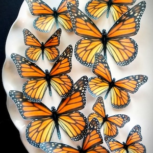 Edible Orange Life-like Monarch Butterfly Collection Set of 12 Edible Cake / Cupcake Toppers
