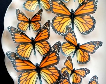 Edible Orange Life-like Monarch Butterfly Collection Set of 12 Edible Cake / Cupcake Toppers