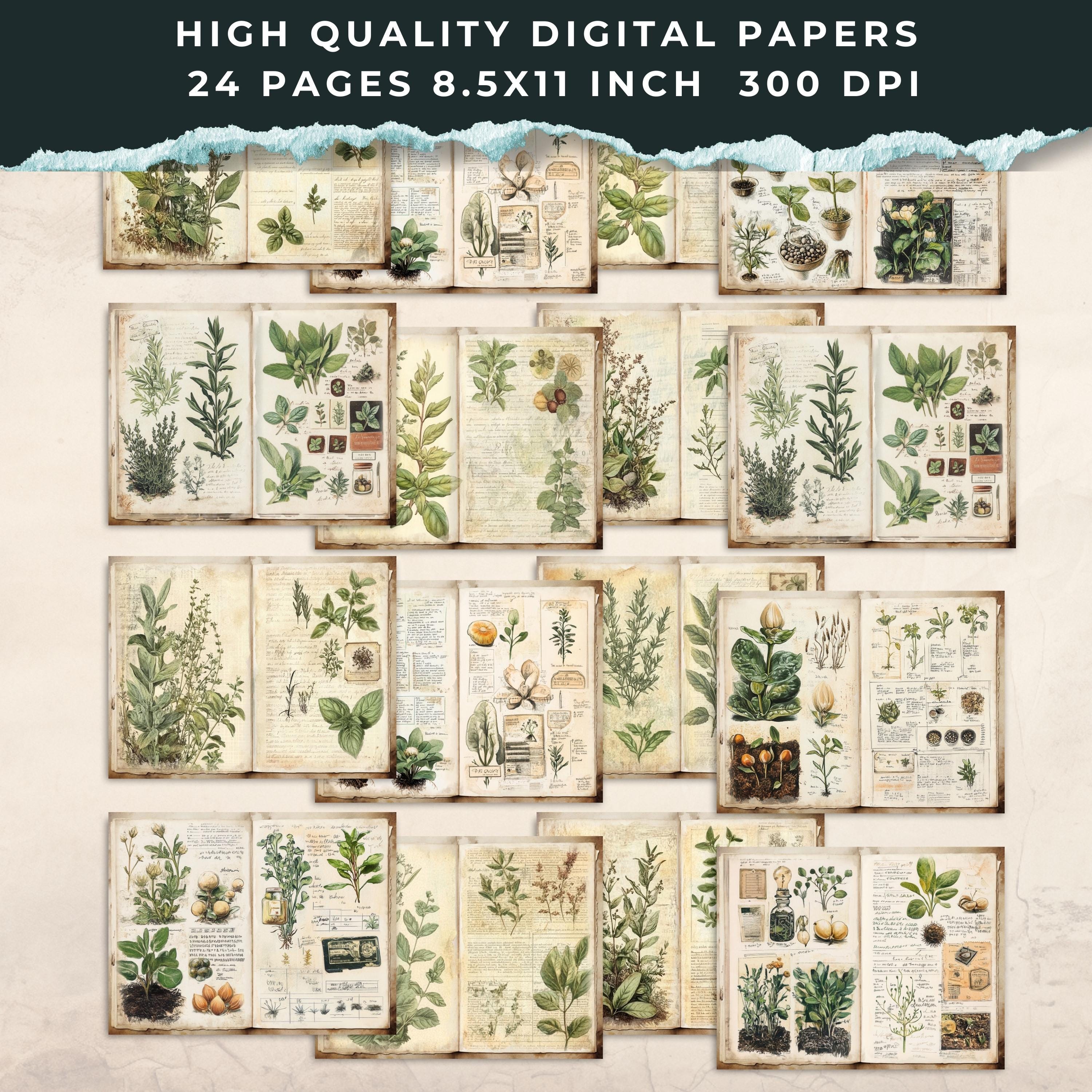 Gardening Junk Journal Pages | Vintage Botanical Ephemera | Herbs ...
