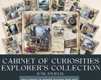 May include: A set of vintage-style junk journal pages with an explorer theme. The pages feature illustrations of maps, compasses, ships, and architectural ruins. The text on the bottom reads "Cabinet of Curiosities Explorer's Collection" and "Includes 12 inner pages 300 DPI".