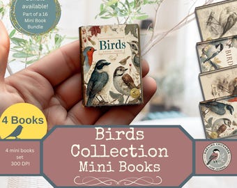 Vintage Birds Collection 4 afdrukbare miniboeken | Afdrukbare miniboeken over de natuur | Tijdelijke vogelliefhebber | Miniatuurkit voor ongewenste dagboeken