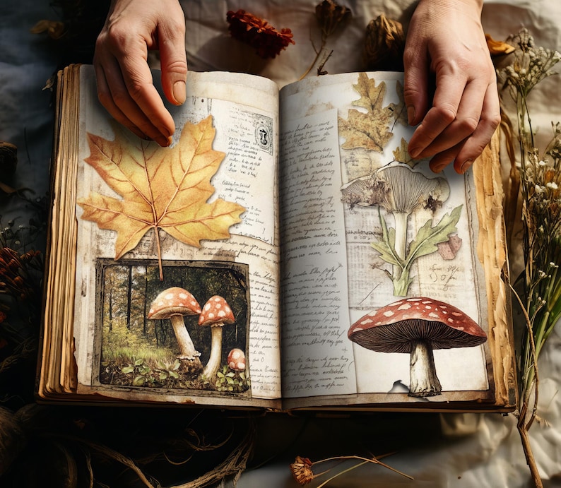May include: An open book with pages filled with handwritten text and illustrations of mushrooms and leaves. The book is open to a page with a drawing of a red and white mushroom with a brown stem. The book is on a table with a brown surface.