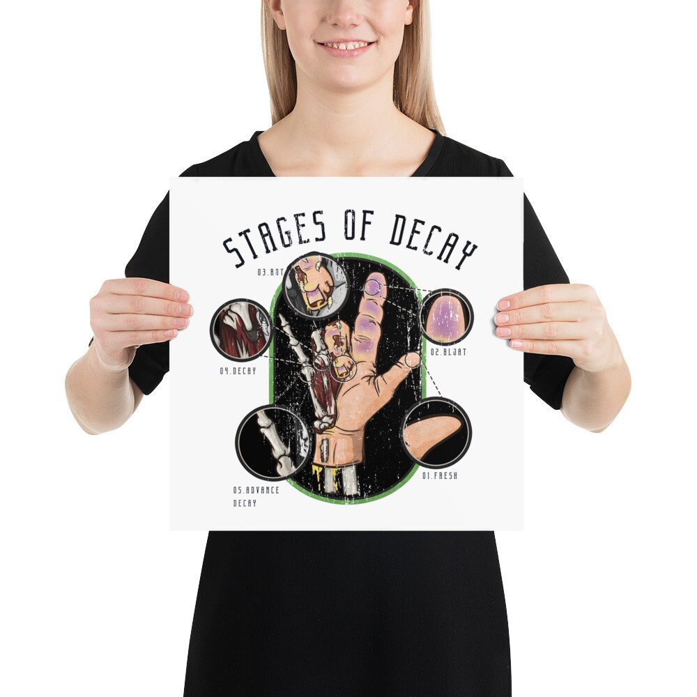 5 Stages of Decay / Stages of Composition Coroner Poster / - Etsy Australia
