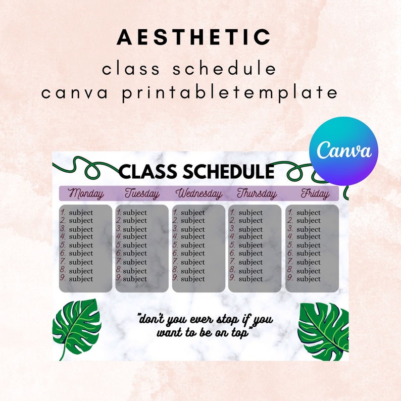 Aesthetic School Schedule Printable Class Schedule Template Etsy