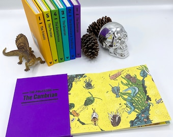 May include: A set of 7 colorful books about the Paleozoic Era, with titles like "The Cambrian", "The Ordovician & The Silurian", and "The Devonian". The books are stacked on top of each other and are arranged in a rainbow pattern. The books are on a white surface with a silver skull and a green plant in the background.