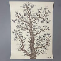 Phylogenetic Tree of Life Poster: Darwinian Evolution Art - Etsy Canada