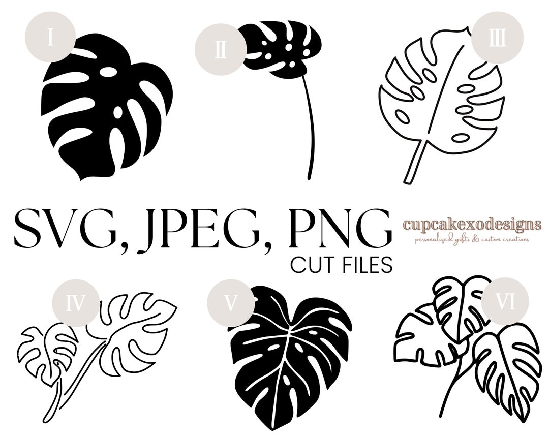 Monstera Leaf SVG Bundle: Tropical Cut Files (digital Download) - Etsy