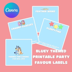 Etykiety na upominki na imprezę inspirowane Bluey! DIY Keepy uppy, featherwand Grannies Party bags | Loot bags | Party Bags