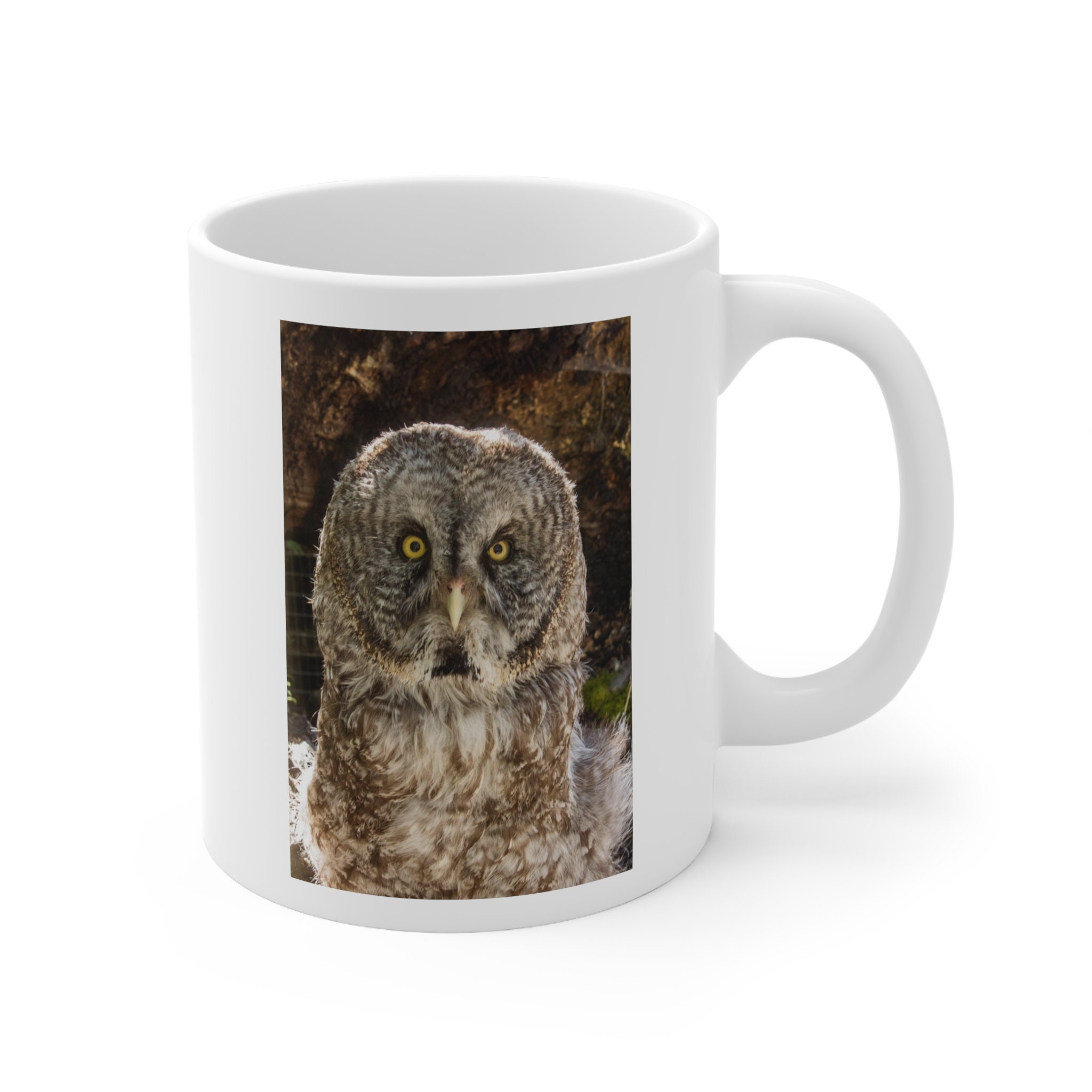 Owl Mug 11oz Bird mug