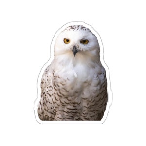 Owl Stickers